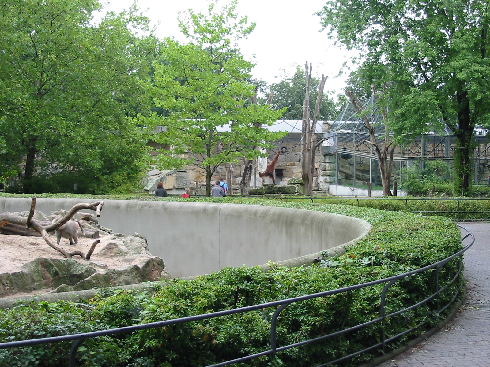Zoo Berlin 2004 - View from the monkey grottos towards the Gorilla and Oran