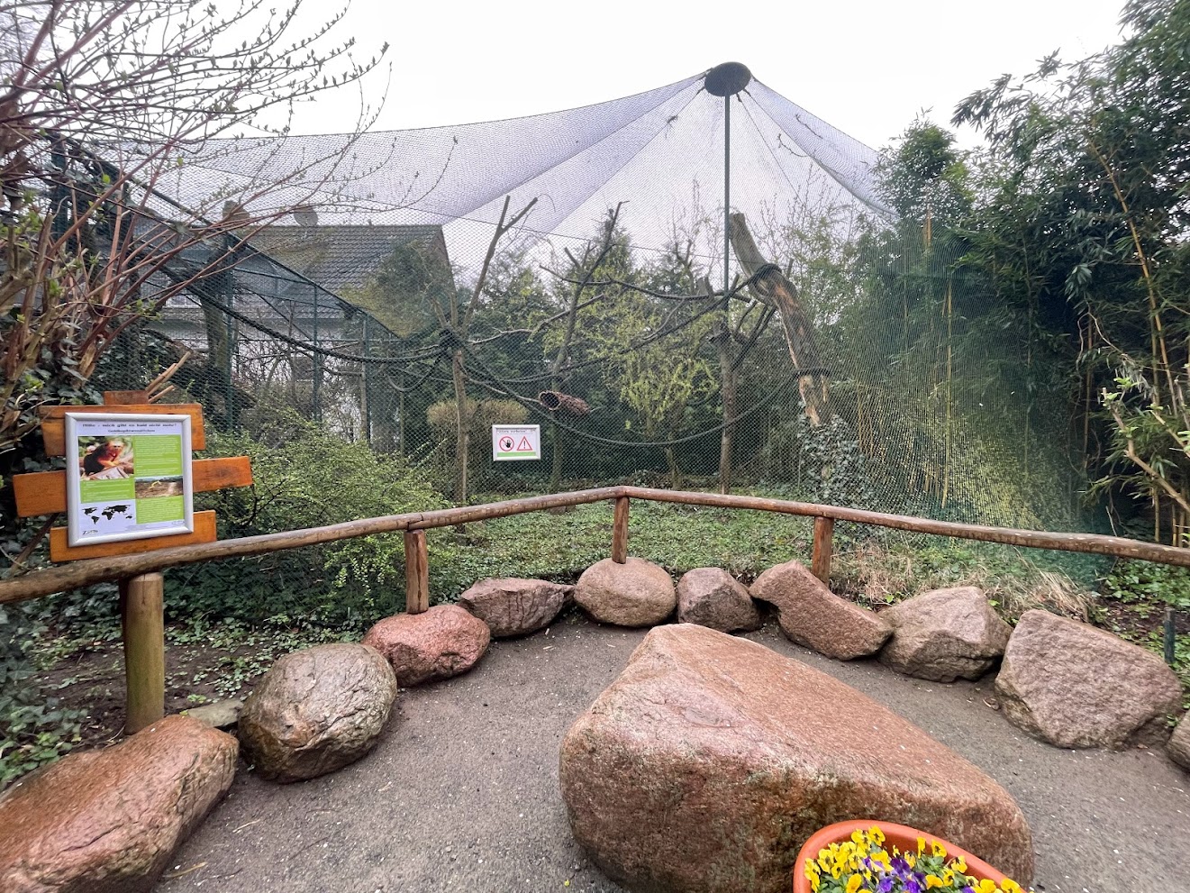 Zoo Braunschweig- golden-headed tamarin enclosure- 2024