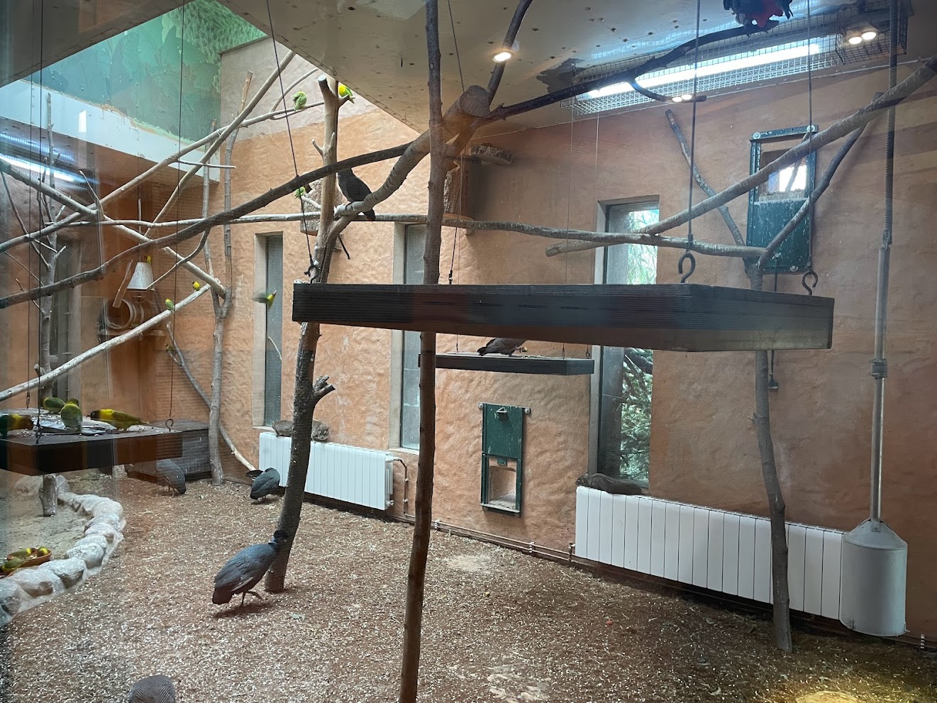 Zoo Braunschweig- mixed African species enclsoure