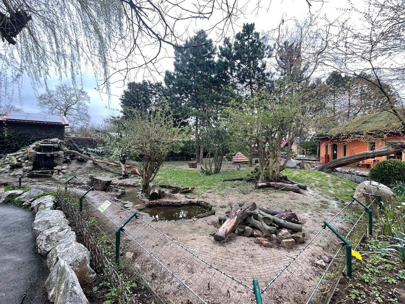 Zoo Braunschweig- racoon and skunk enclosure- 2024