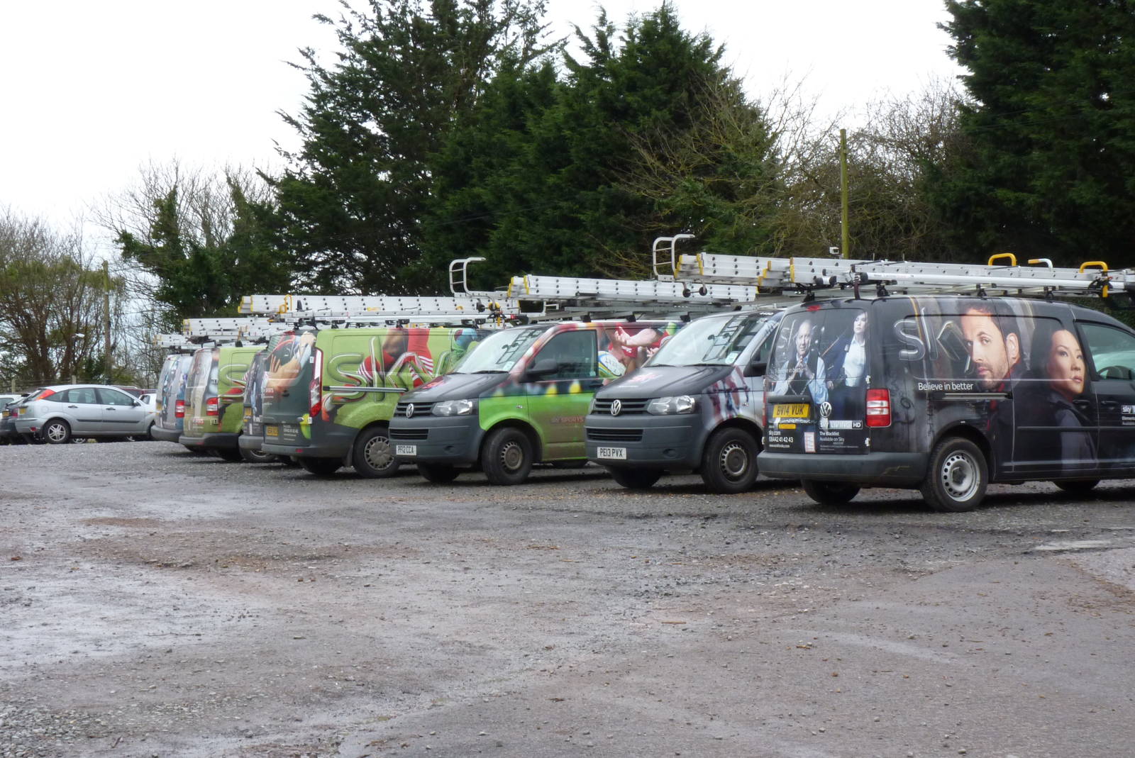 Zoo Car Park, 30 January 2015