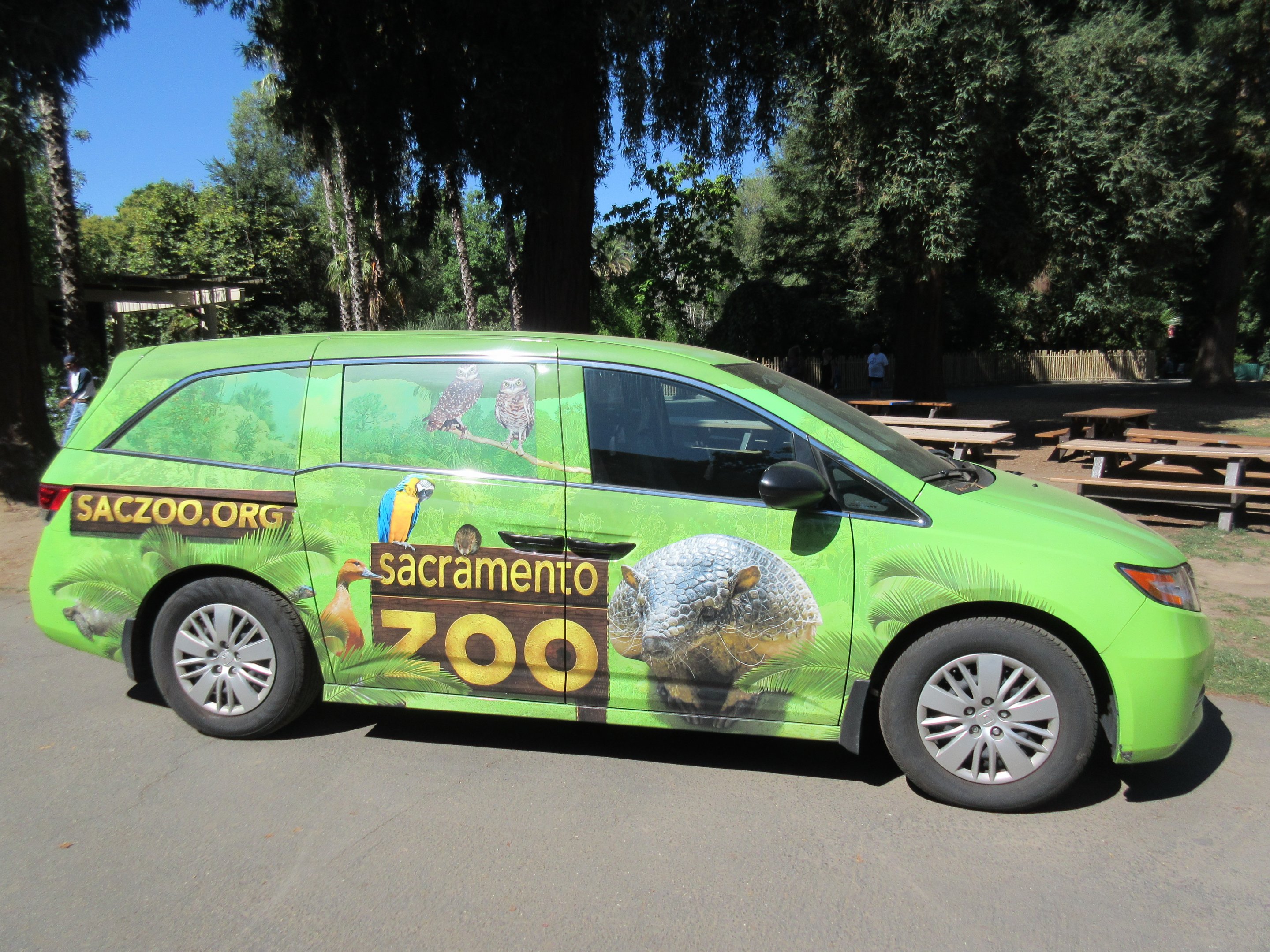 Zoo Car