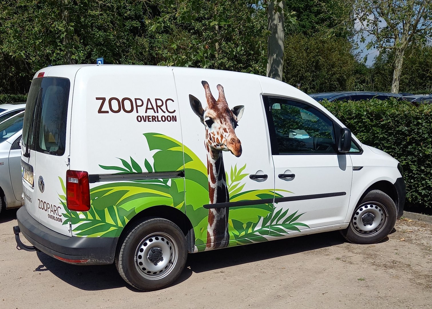 Zoo-car