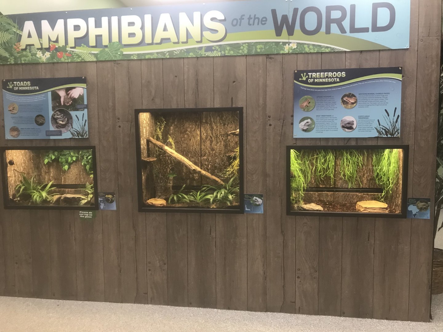 Zoo Center - Amphibians of the World