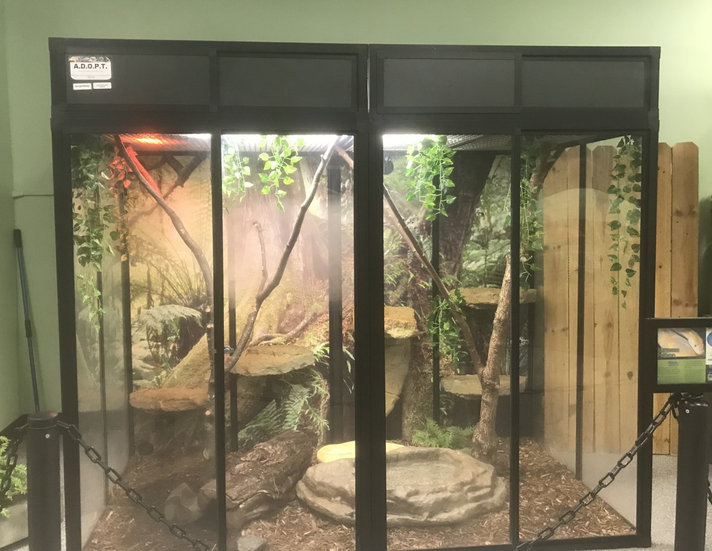 Zoo Center - Burmese Peyton Exhibit