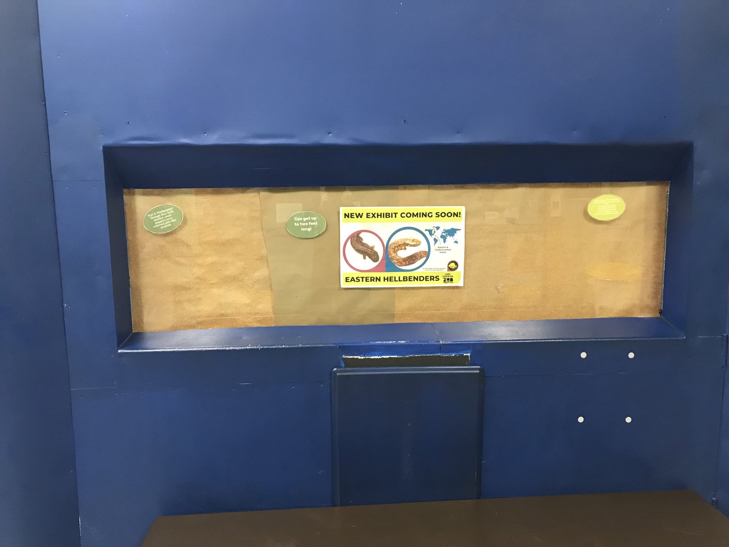 Zoo Center - Future Hellbender Exhibit