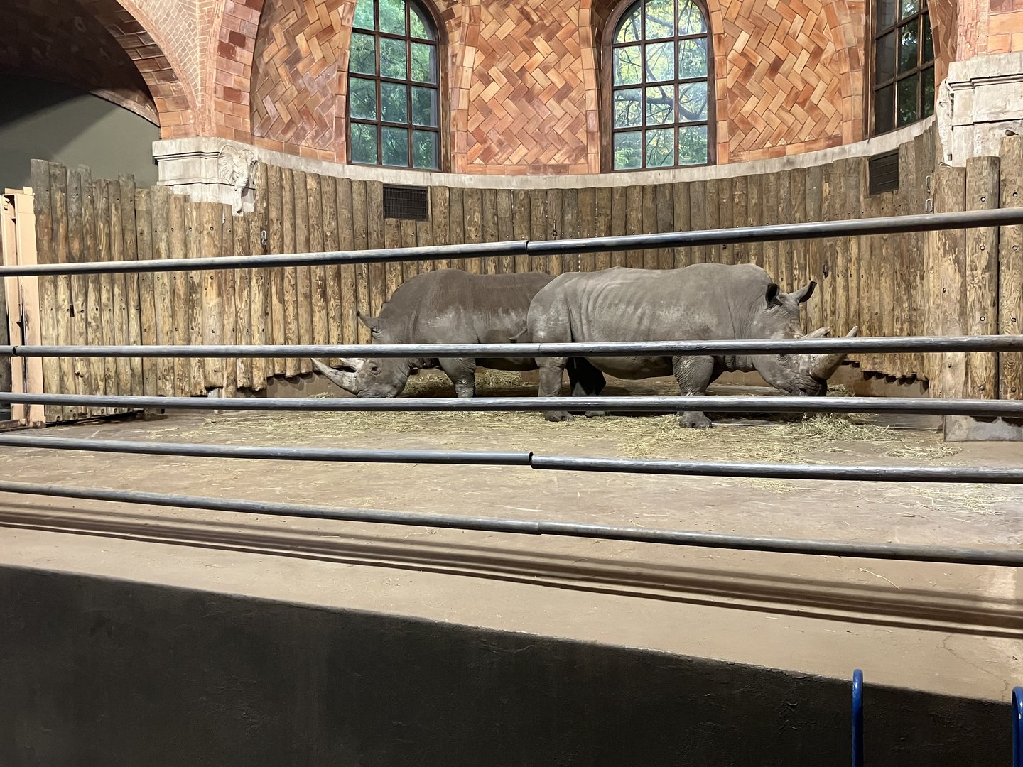 Zoo Center - Indoor White Rhino Exhibit