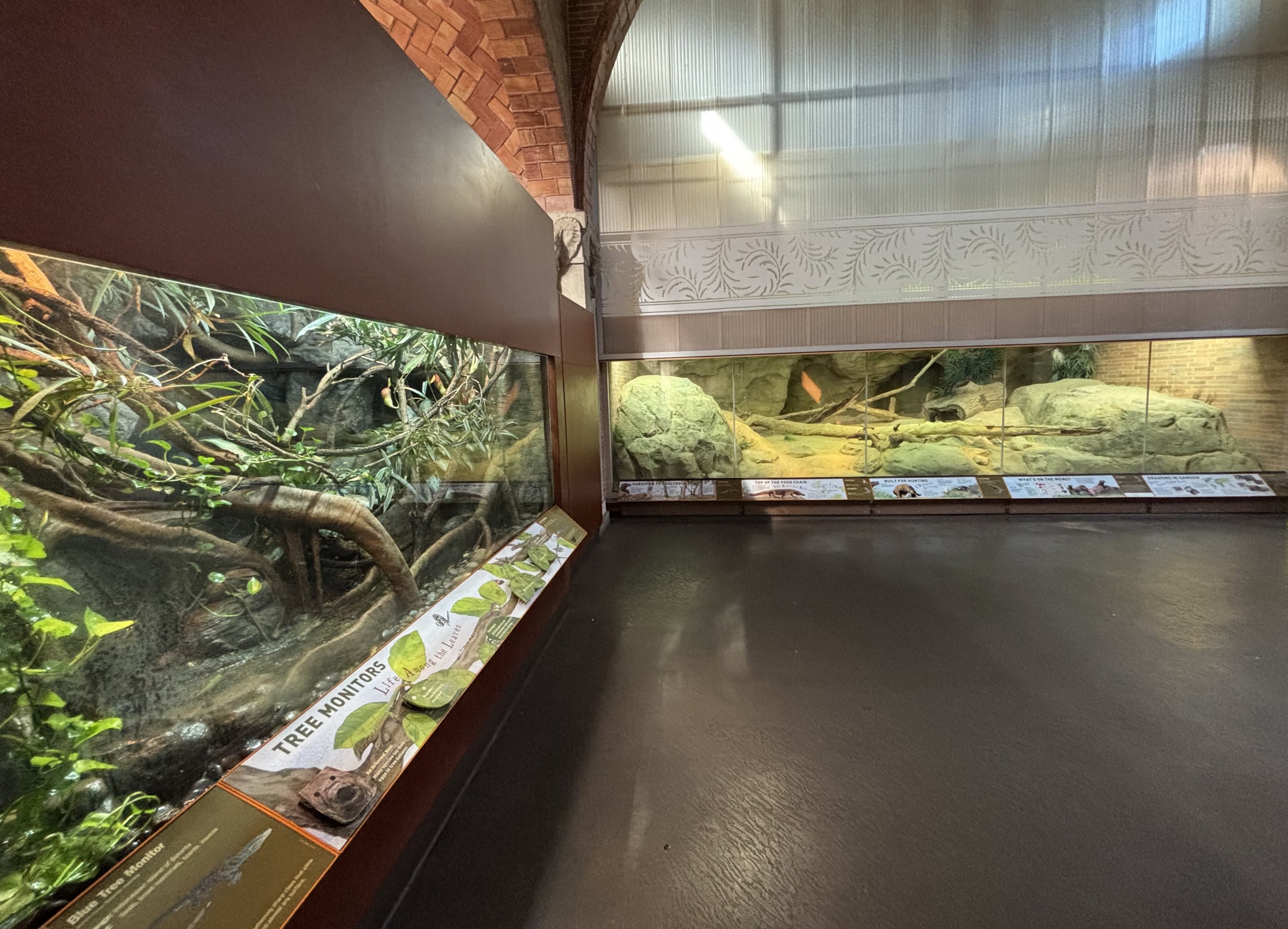 Zoo Center - Monitor Lizards + Dragons