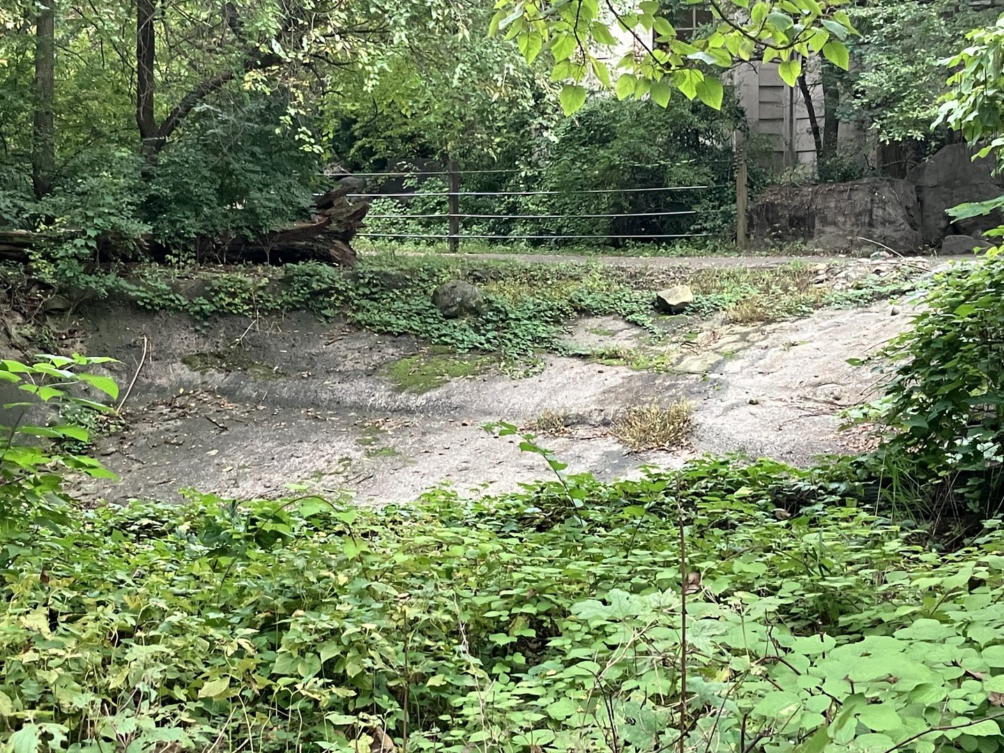 Zoo Center - Outdoor White Rhino Exhibit