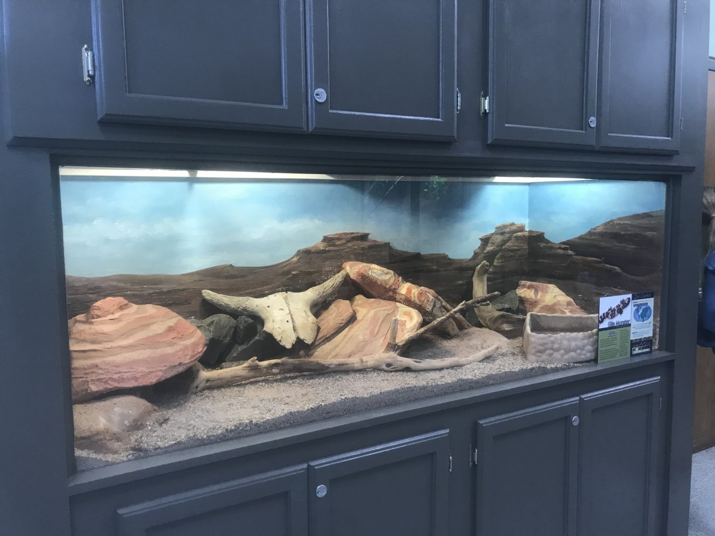 Zoo Center - Repainted Gila Monster Terrarium