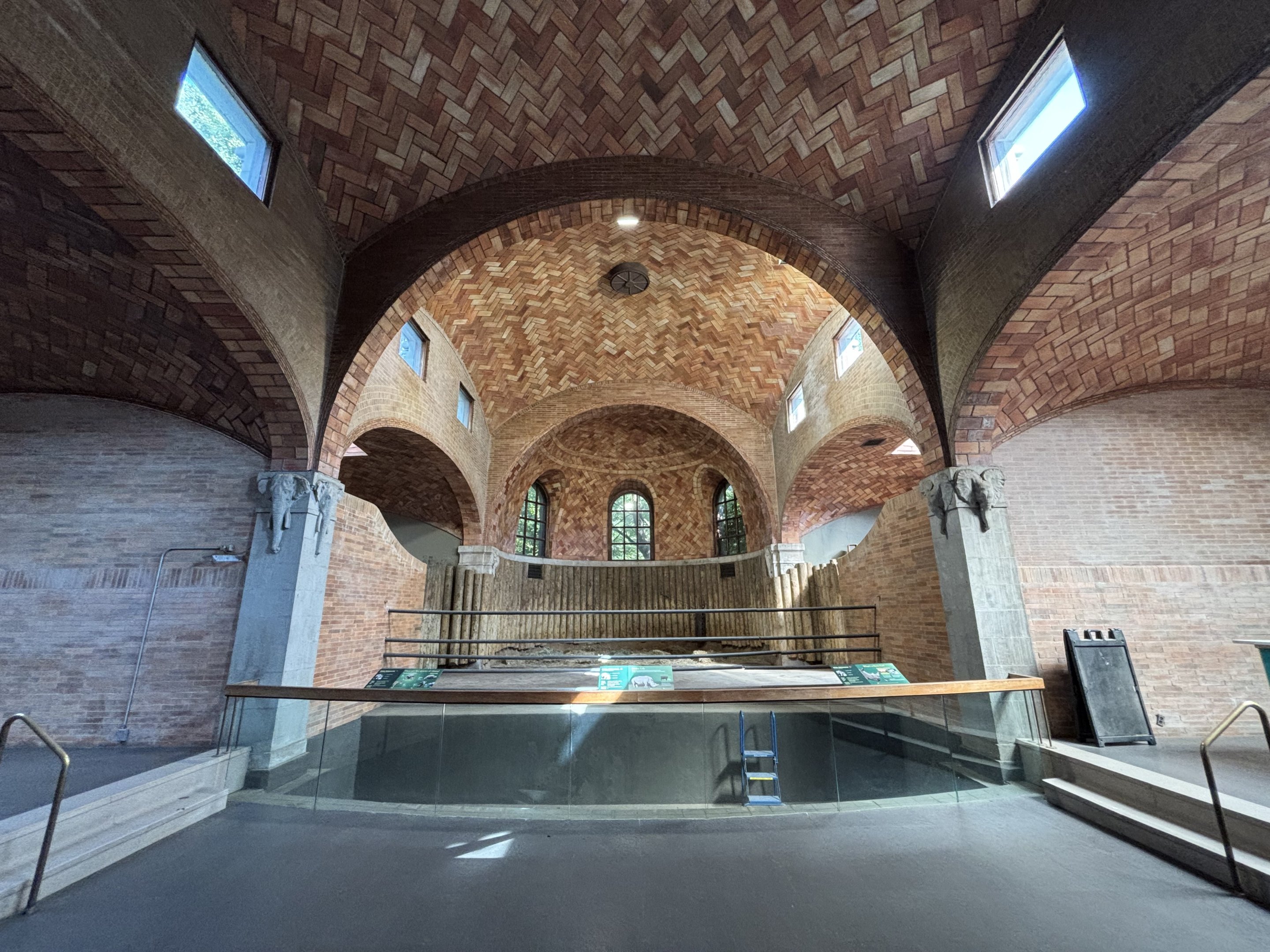 Zoo Center - White Rhino Indoor Exhibit