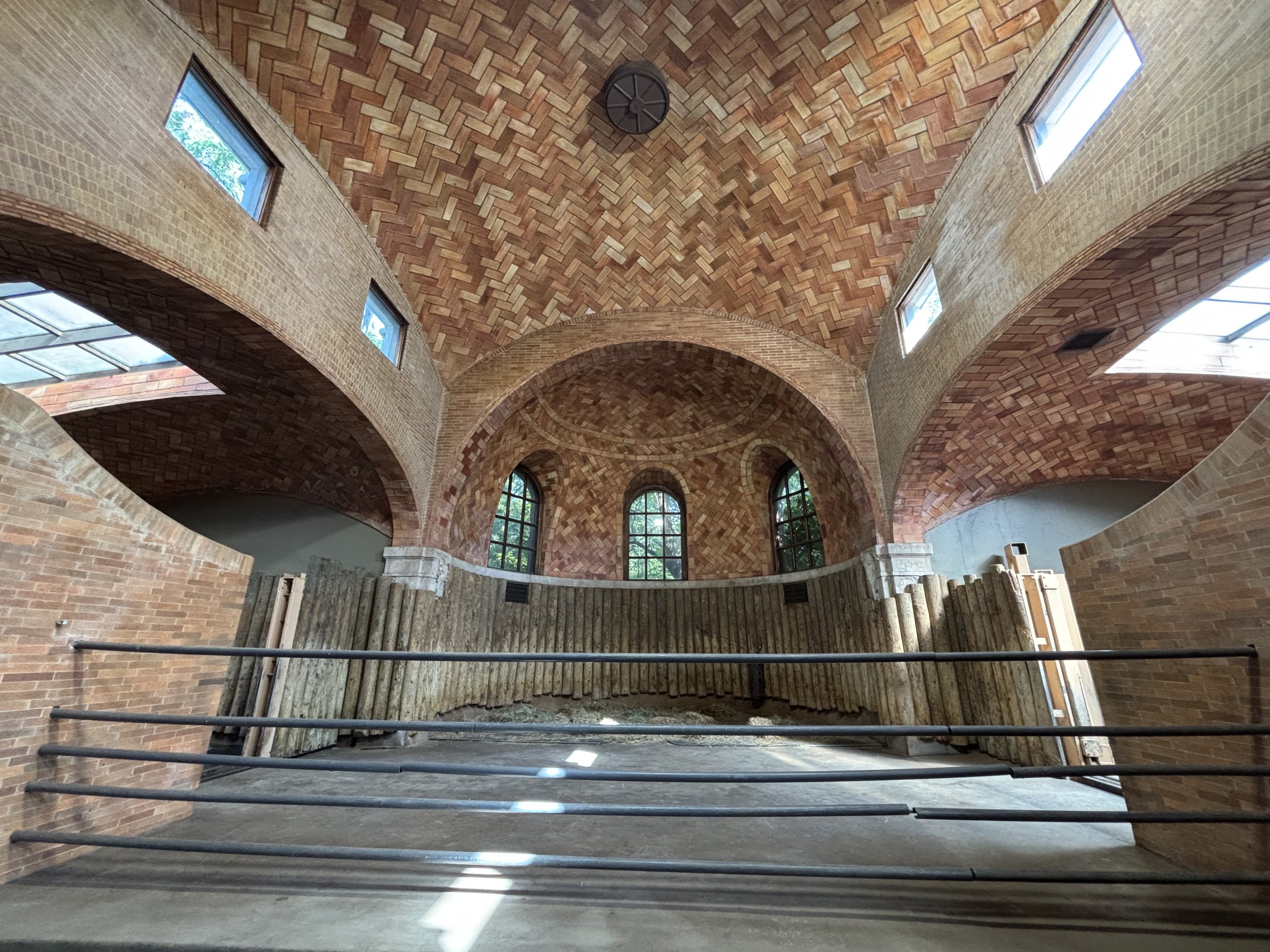 Zoo Center - White Rhino Indoor Exhibit