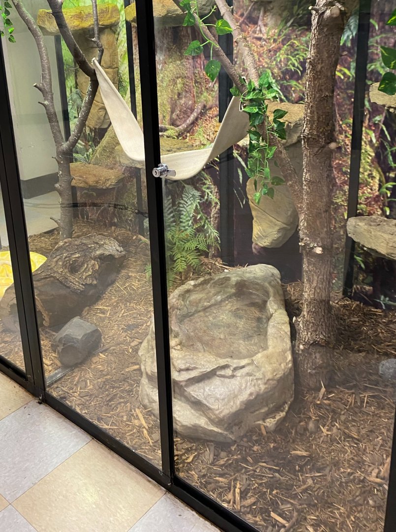 Zoo central- Burmese python exhibit