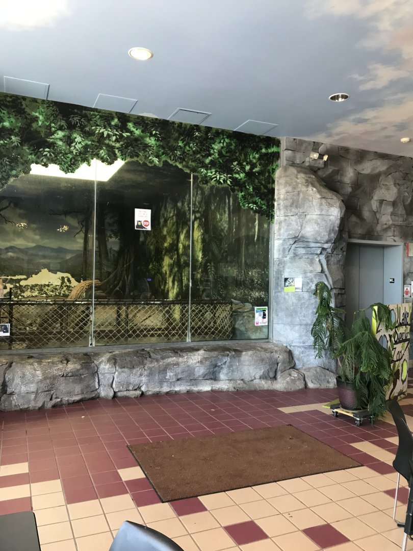 Zoo Central- indoor black-crested mangabey exhibit.