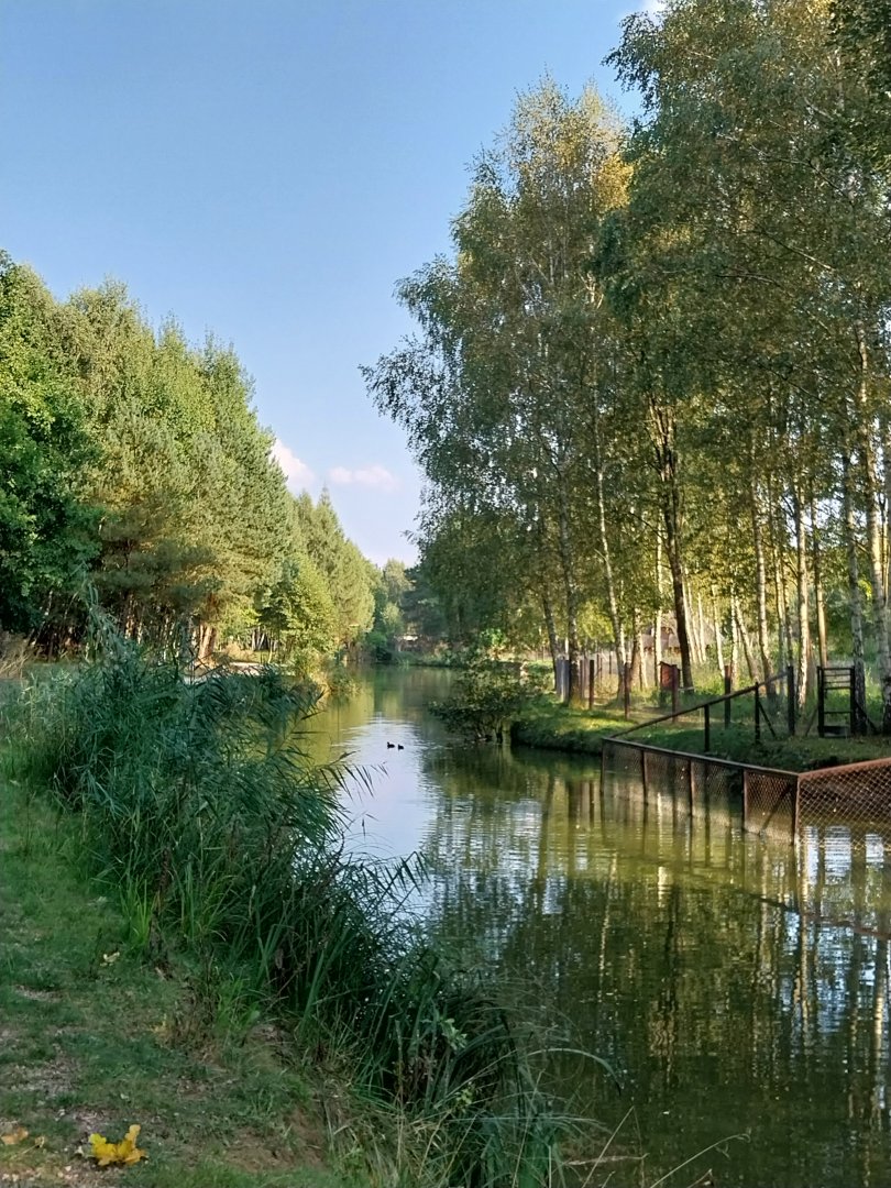 Zoo Charlotta - General view