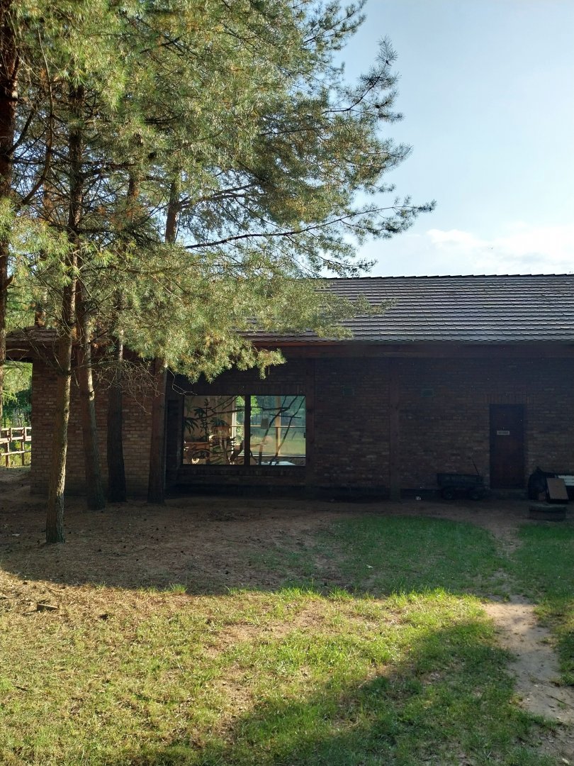 Zoo Charlotta - Red-cheeked Gibbon (Nomascus gabriellae)