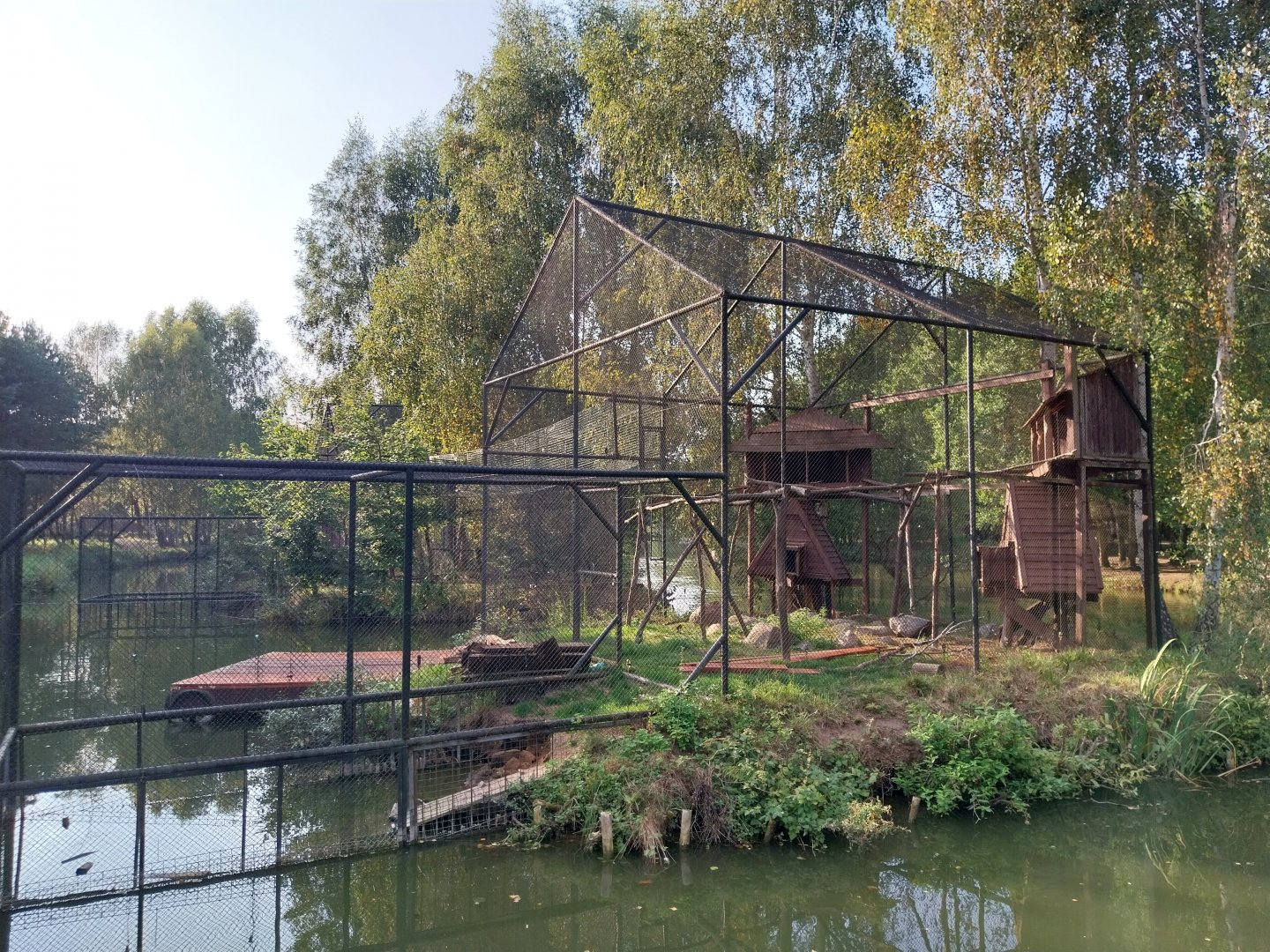 Zoo Charlotta - Ring-tailed Lemur (Lemur catta)
