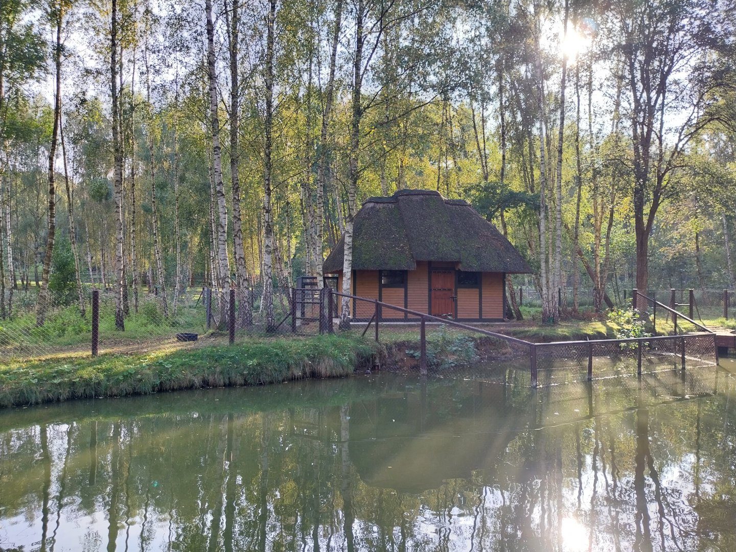 Zoo Charlotta - South America exhibit