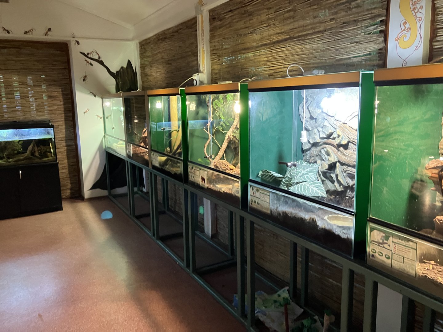 Zoo classroom terrarium