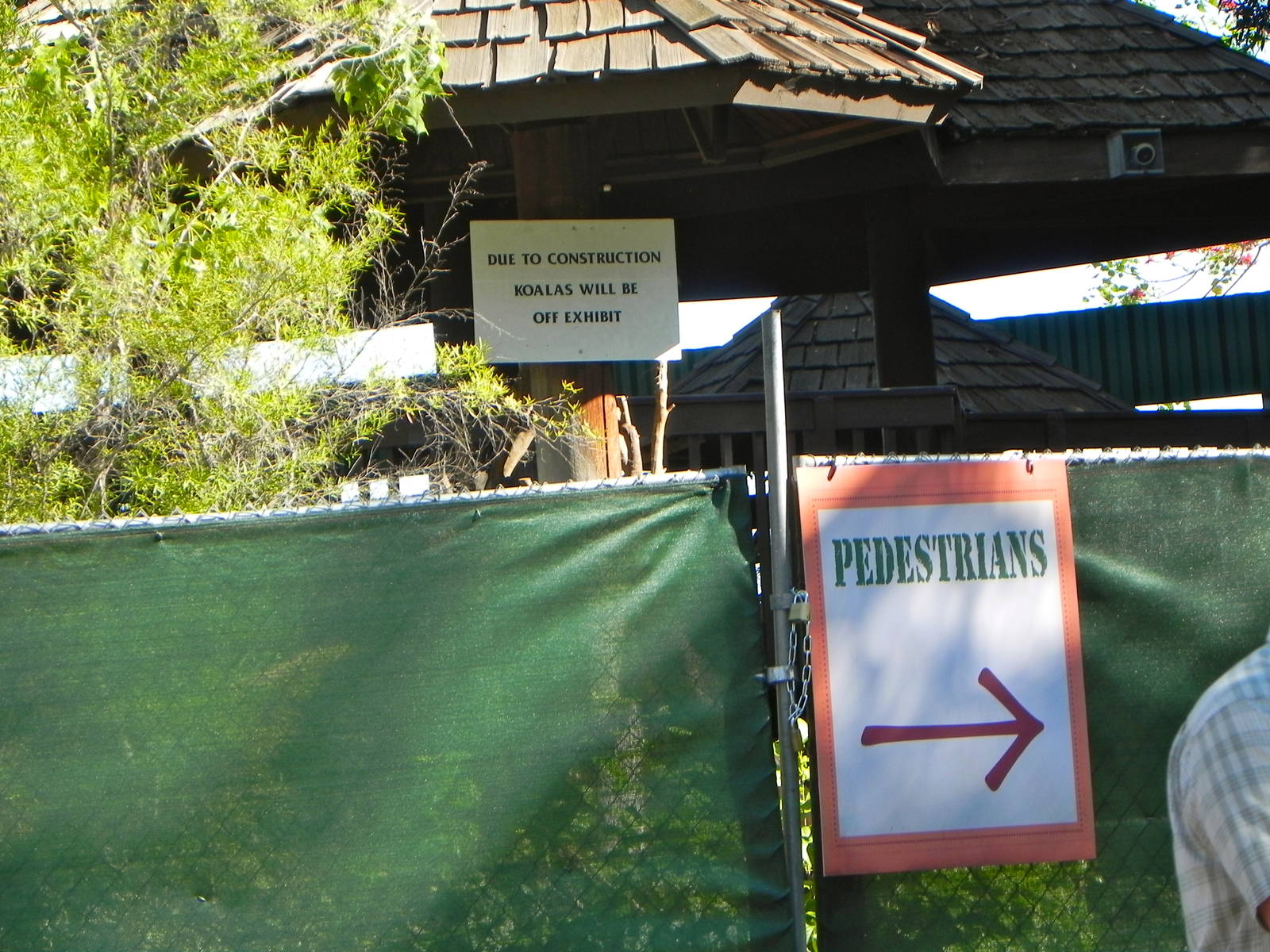 zoo construction 2012