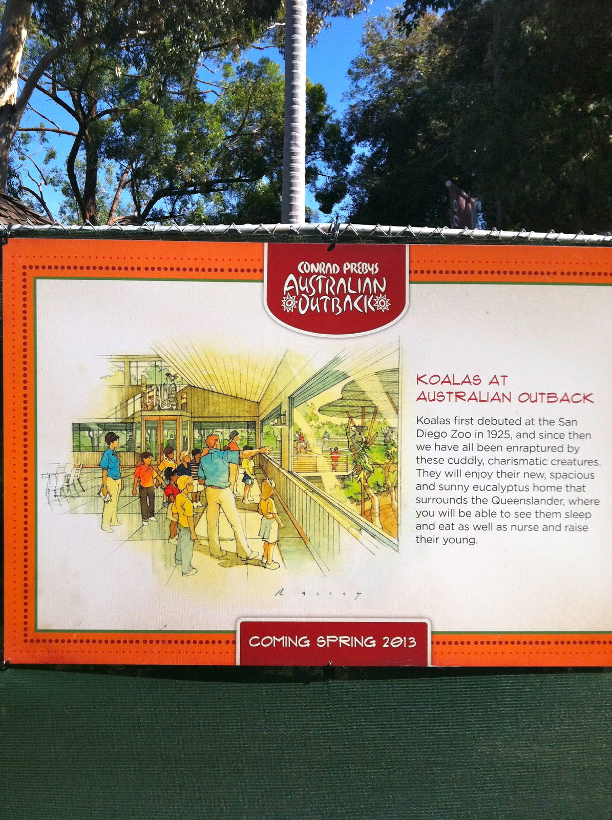 zoo construction 2012