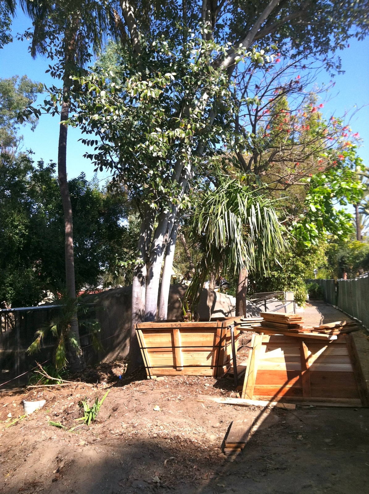 zoo construction 2012