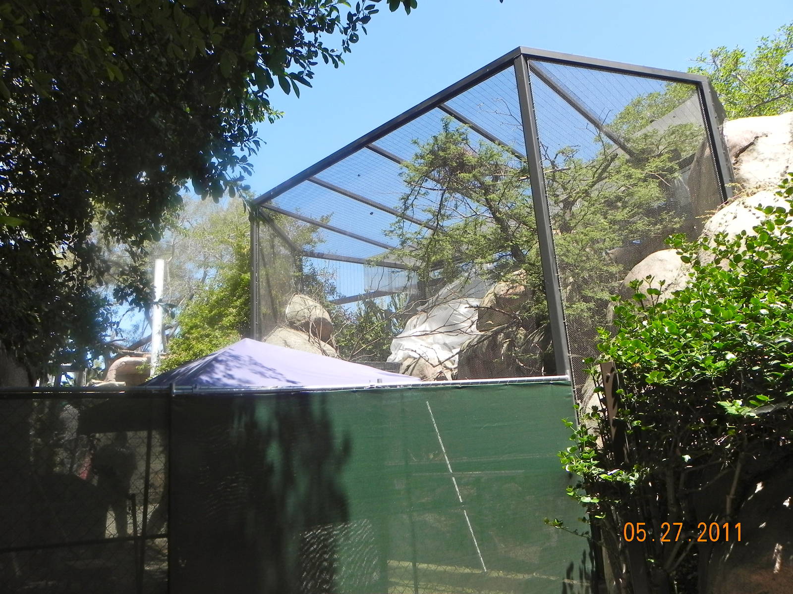 zoo construction May 2011 Chinese Leopard Exhibit