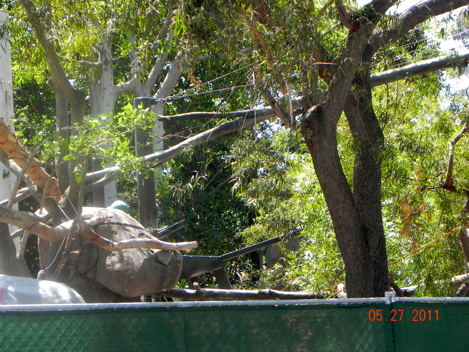 zoo construction May 2011 Chinese Leopard Exhibit