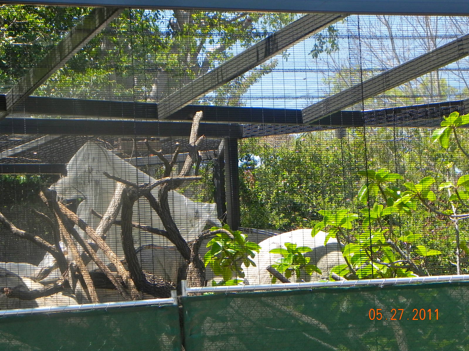 zoo construction May 2011