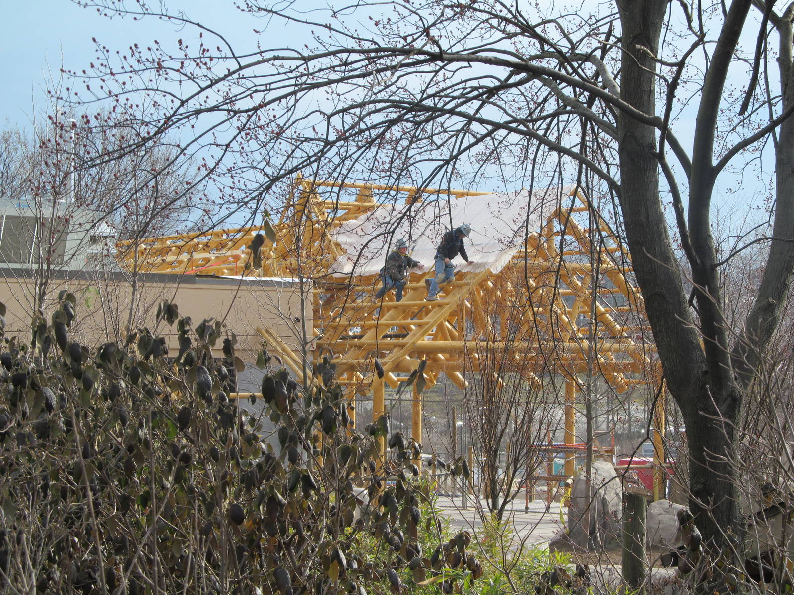 Zoo Construction