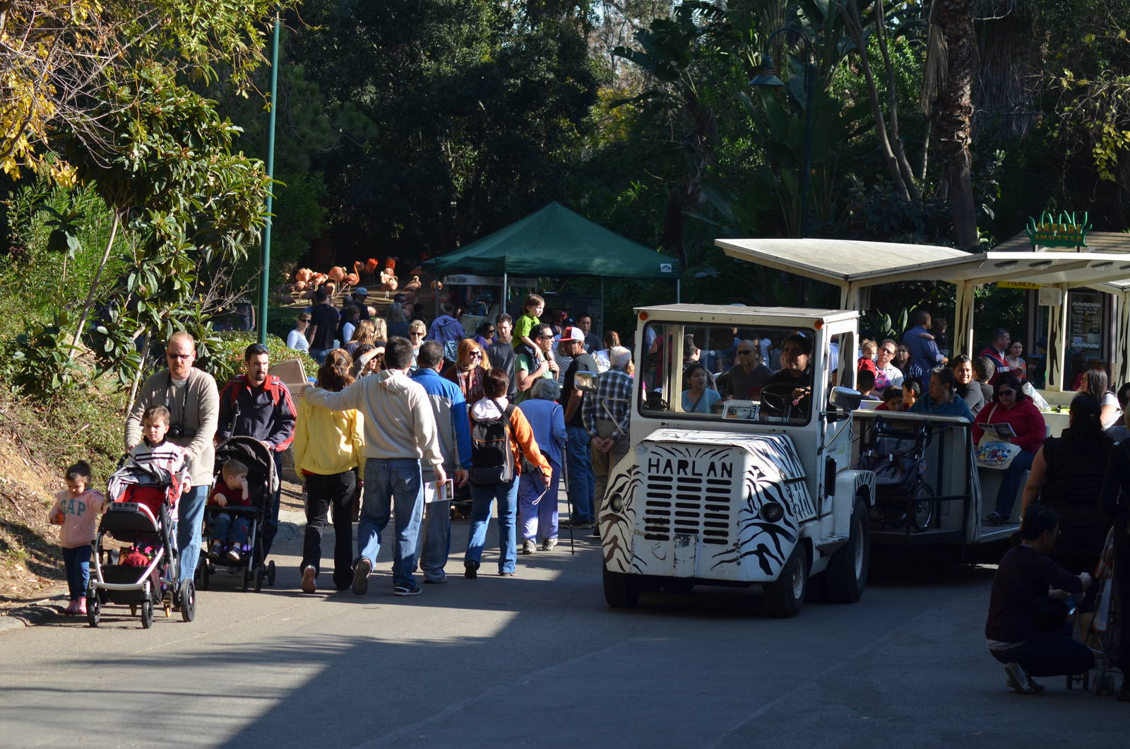 Zoo Crowd - December 27, 2011