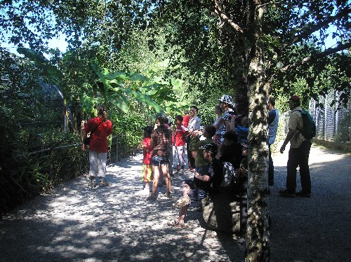 Zoo d'Asson - gibbon pathway in summer