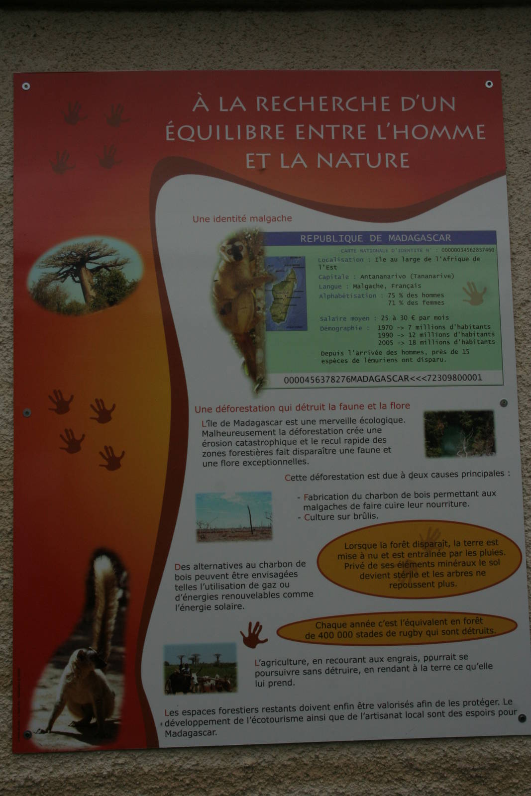 Zoo d'Asson - interpretation