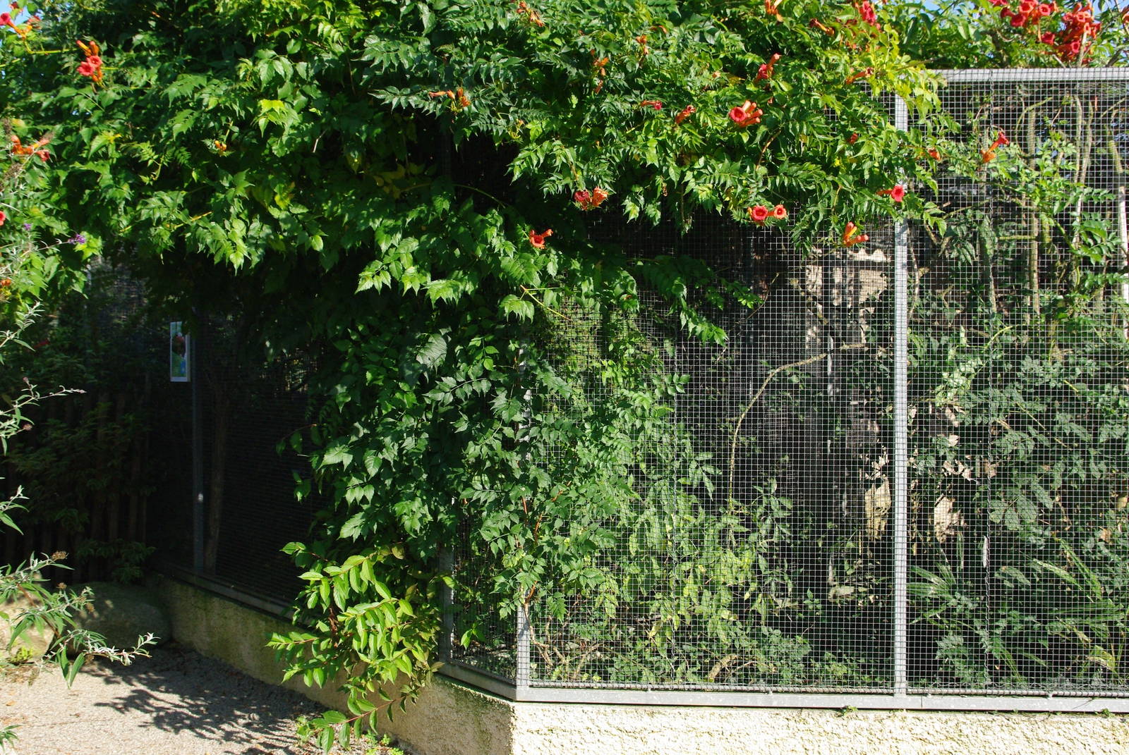 Zoo d'Asson - Loriqueet house