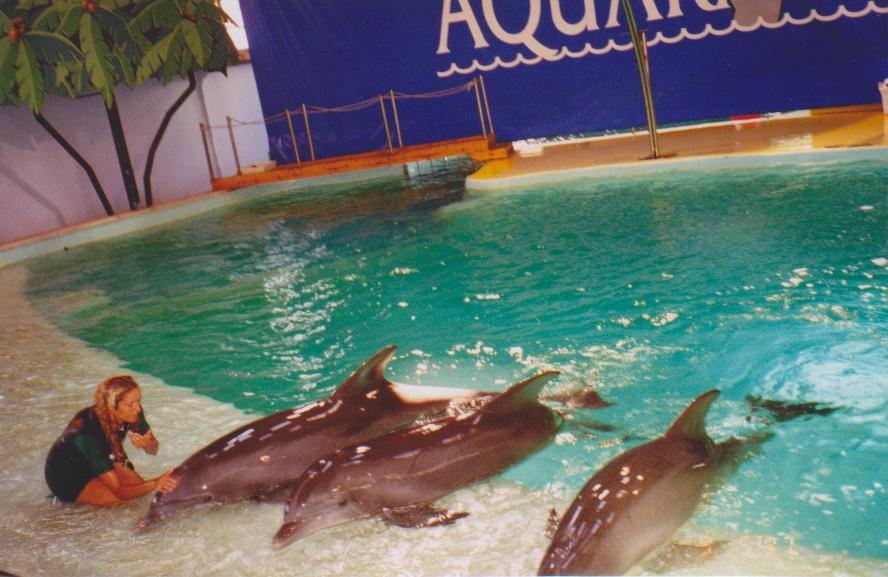 Zoo de Barcelona: 1997