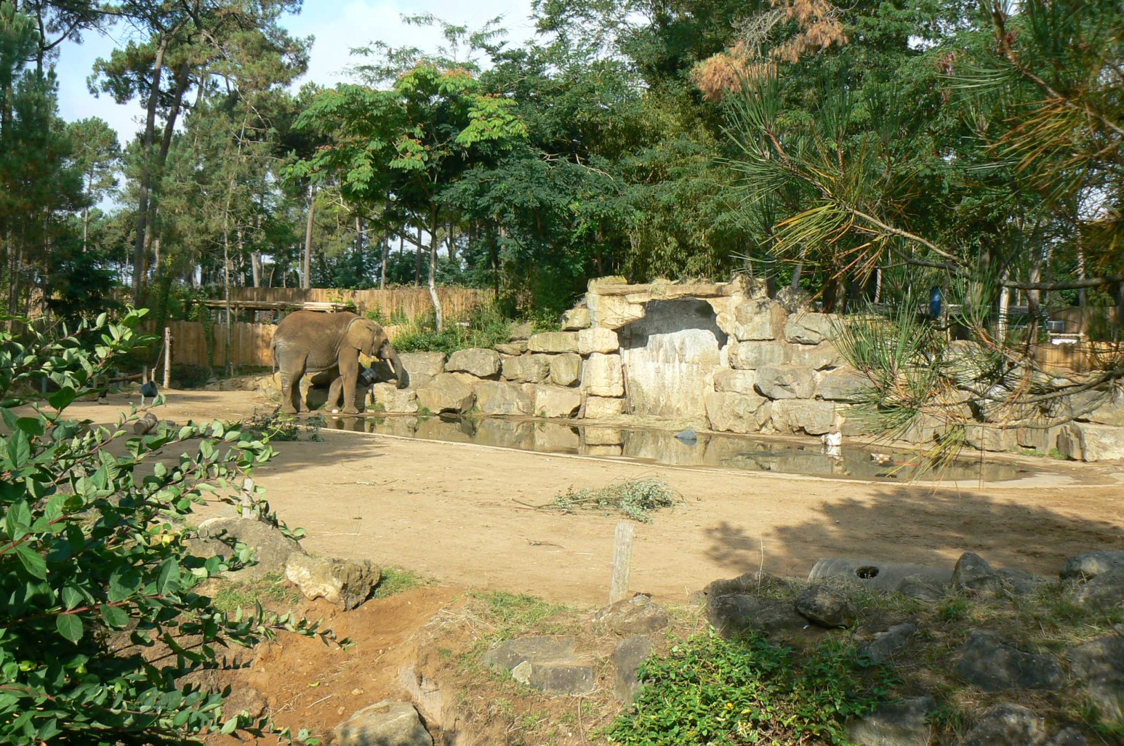 Zoo de la Flèche - African elephant exhibit