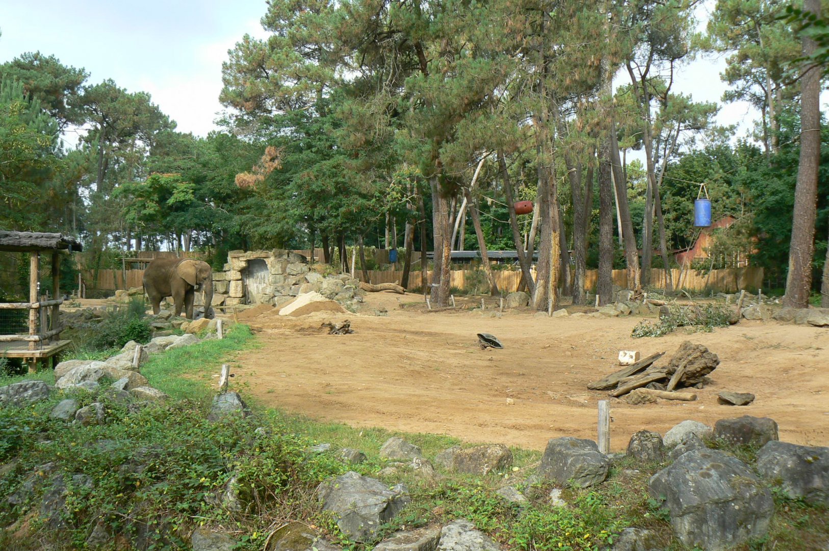 Zoo de la Flèche - African elephant exhibit