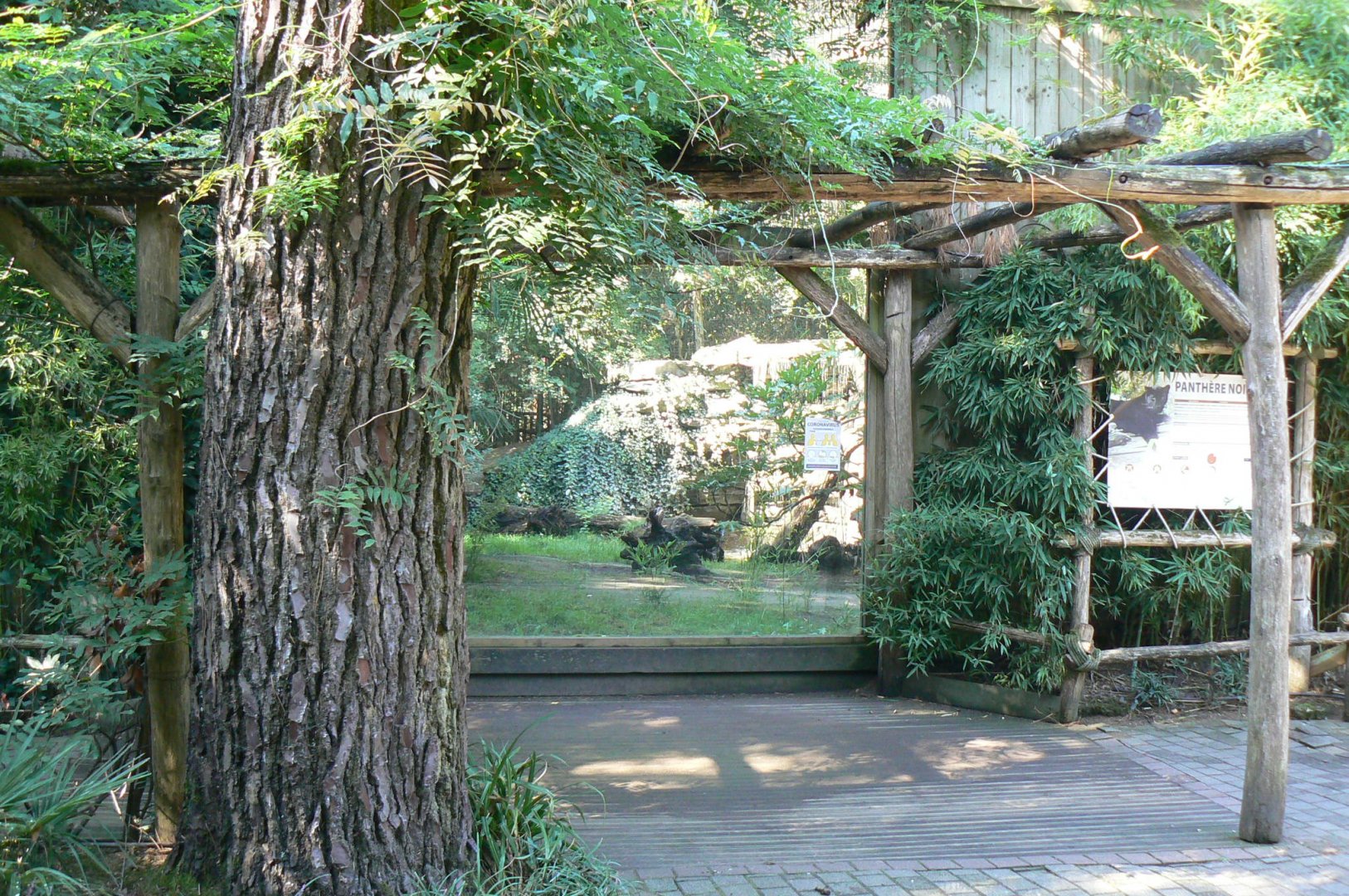Zoo de la Flèche - Black leopard exhibit