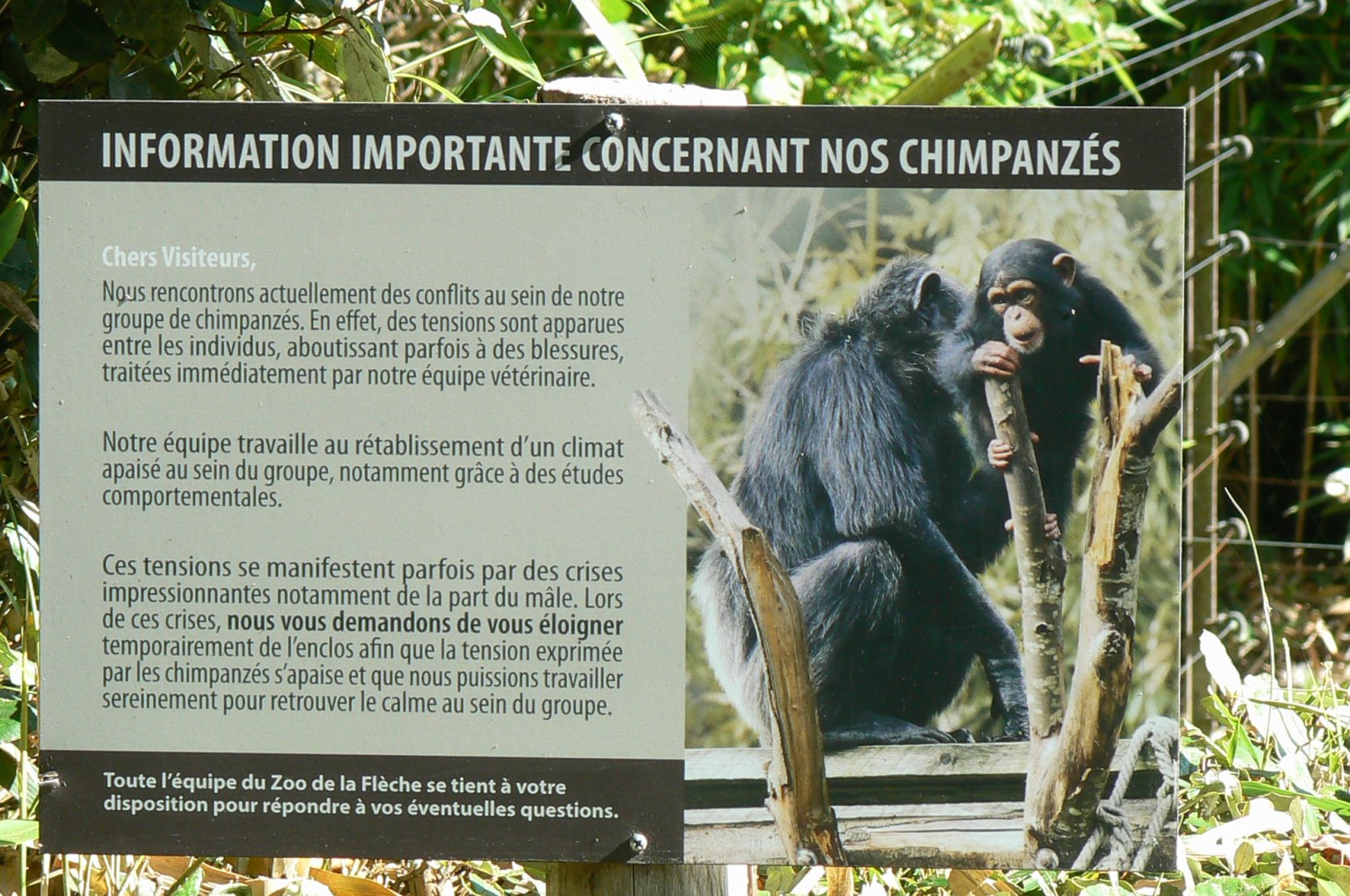 Zoo de la Flèche - Chimpanzees sign explaining behavioural problems