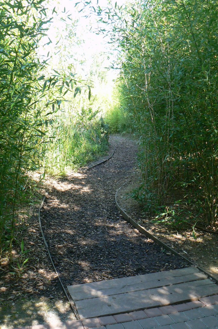 Zoo de la Flèche - Edge of the sumatran tigers exhibit