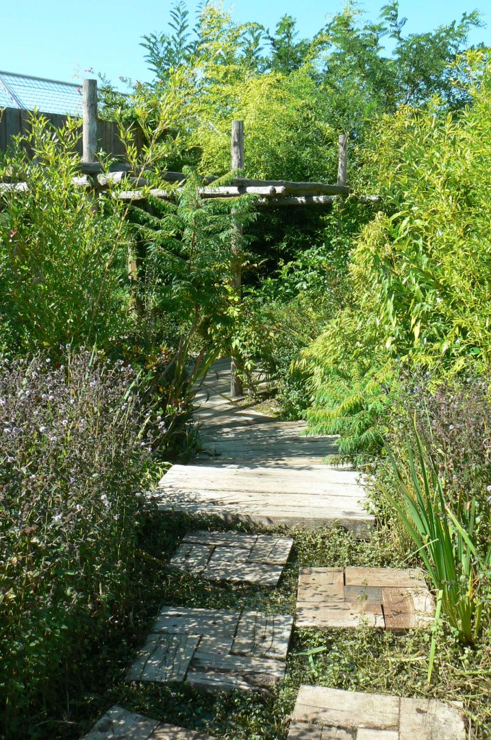 Zoo de la Flèche - Edge of the sumatran tigers exhibit