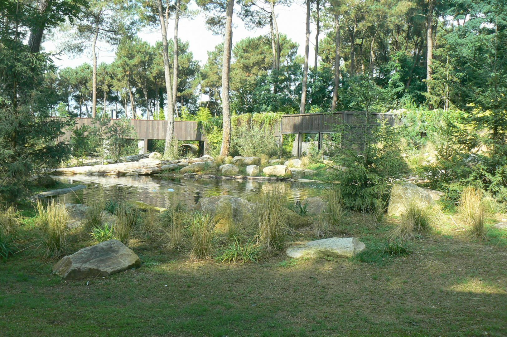 Zoo de la Flèche - Female polar bear enclosure