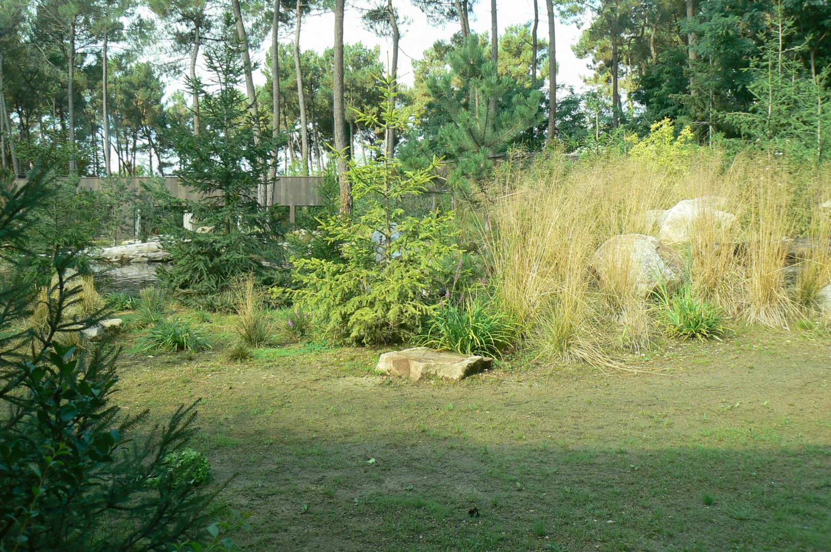 Zoo de la Flèche - Female polar bear enclosure