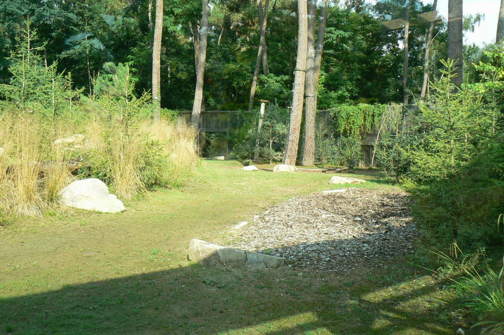 Zoo de la Flèche - Female polar bear enclosure