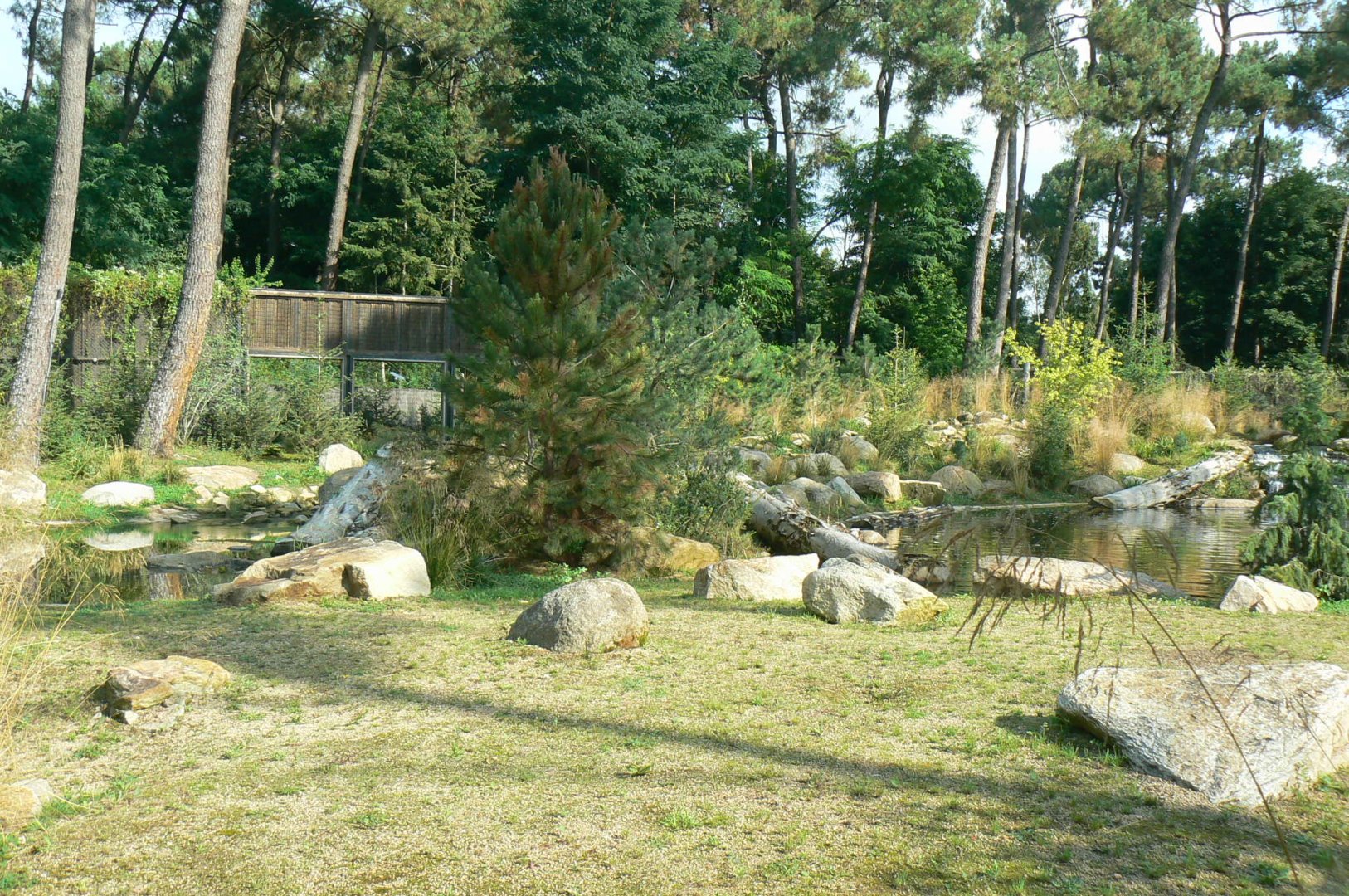 Zoo de la Flèche - Female polar bear enclosure