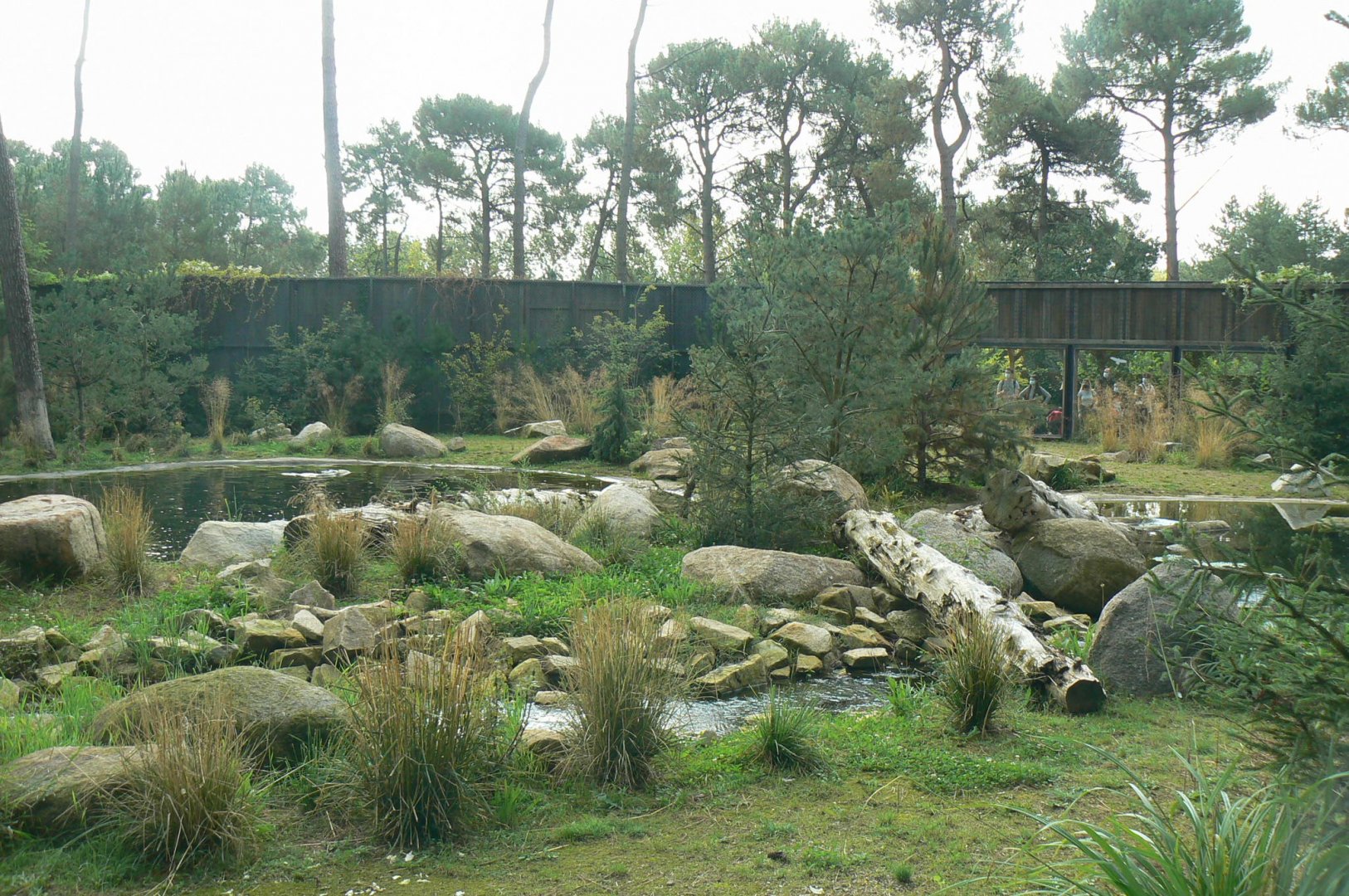 Zoo de la Flèche - Female polar bear enclosure