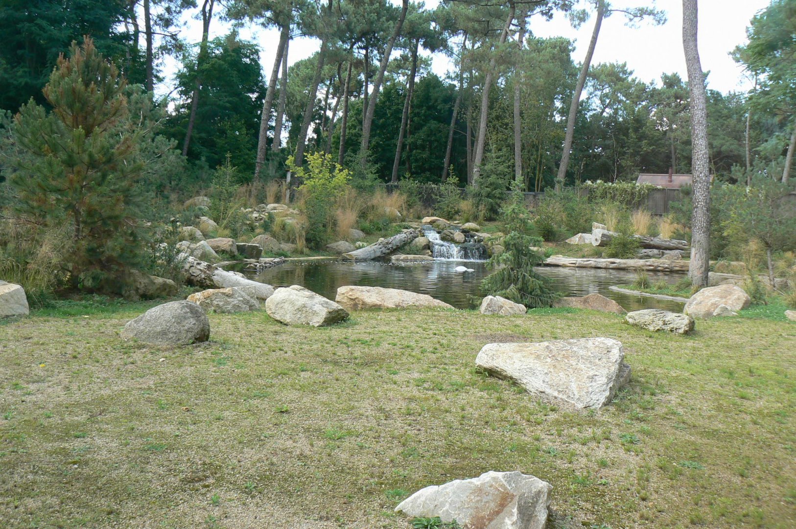 Zoo de la Flèche - Female polar bear enclosure