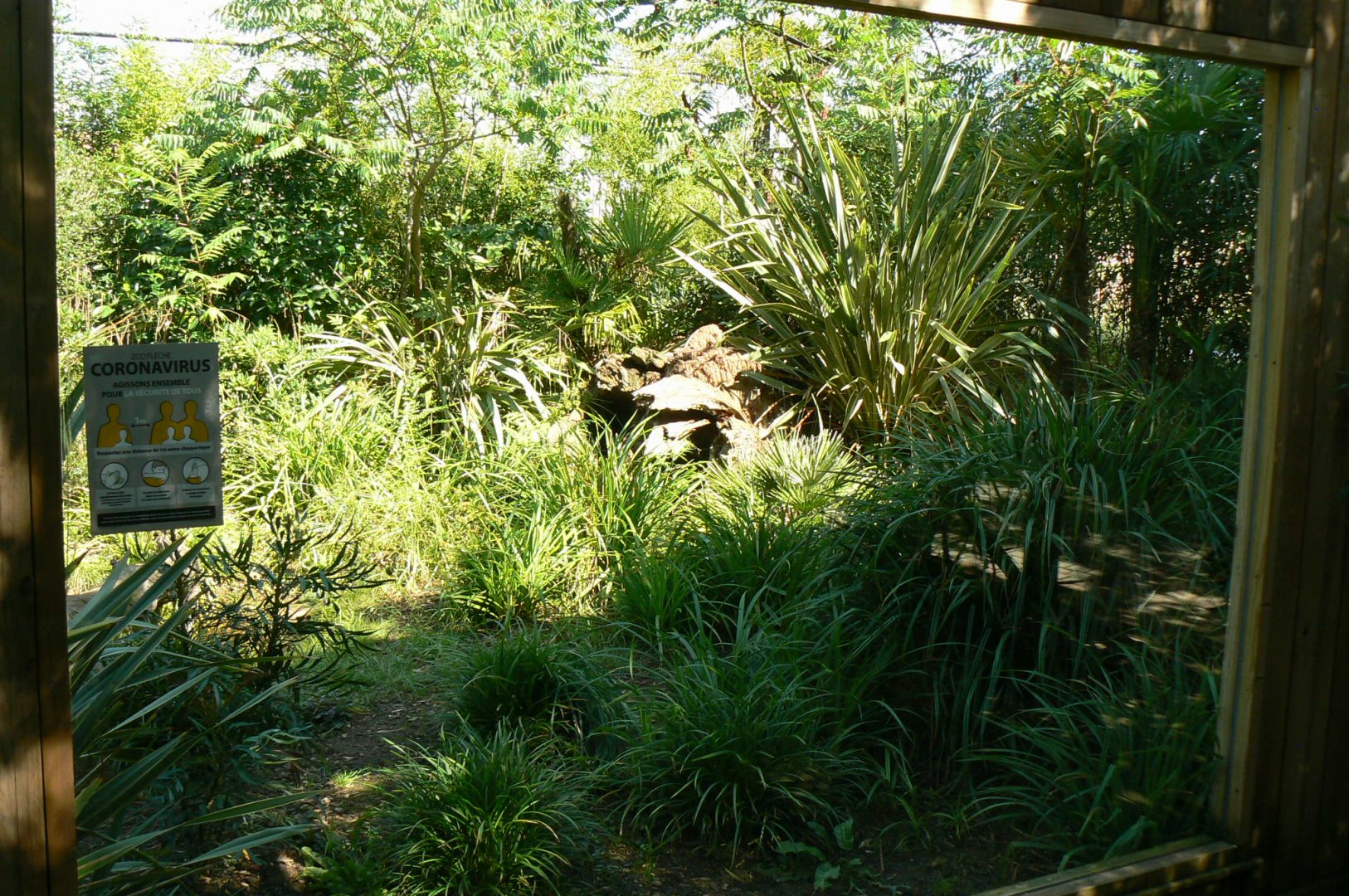 Zoo de la Flèche - Fishing cats exhibit