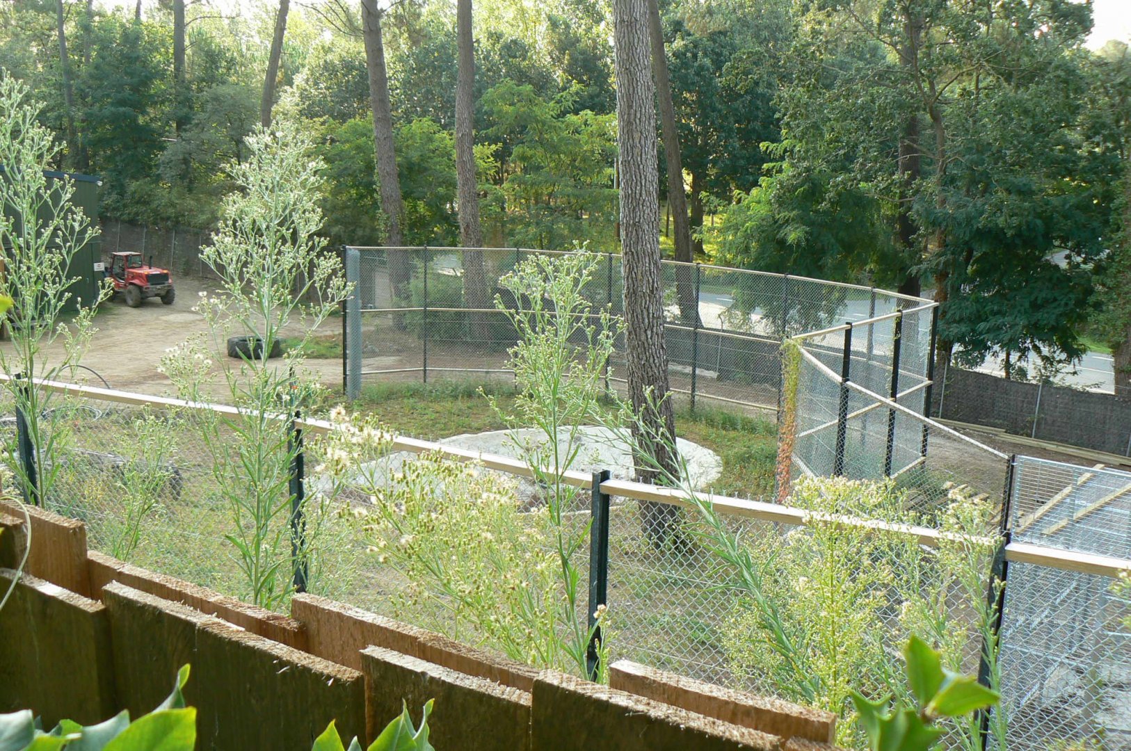 Zoo de la Flèche - Future off-show maternity den - First outdoor enclosure