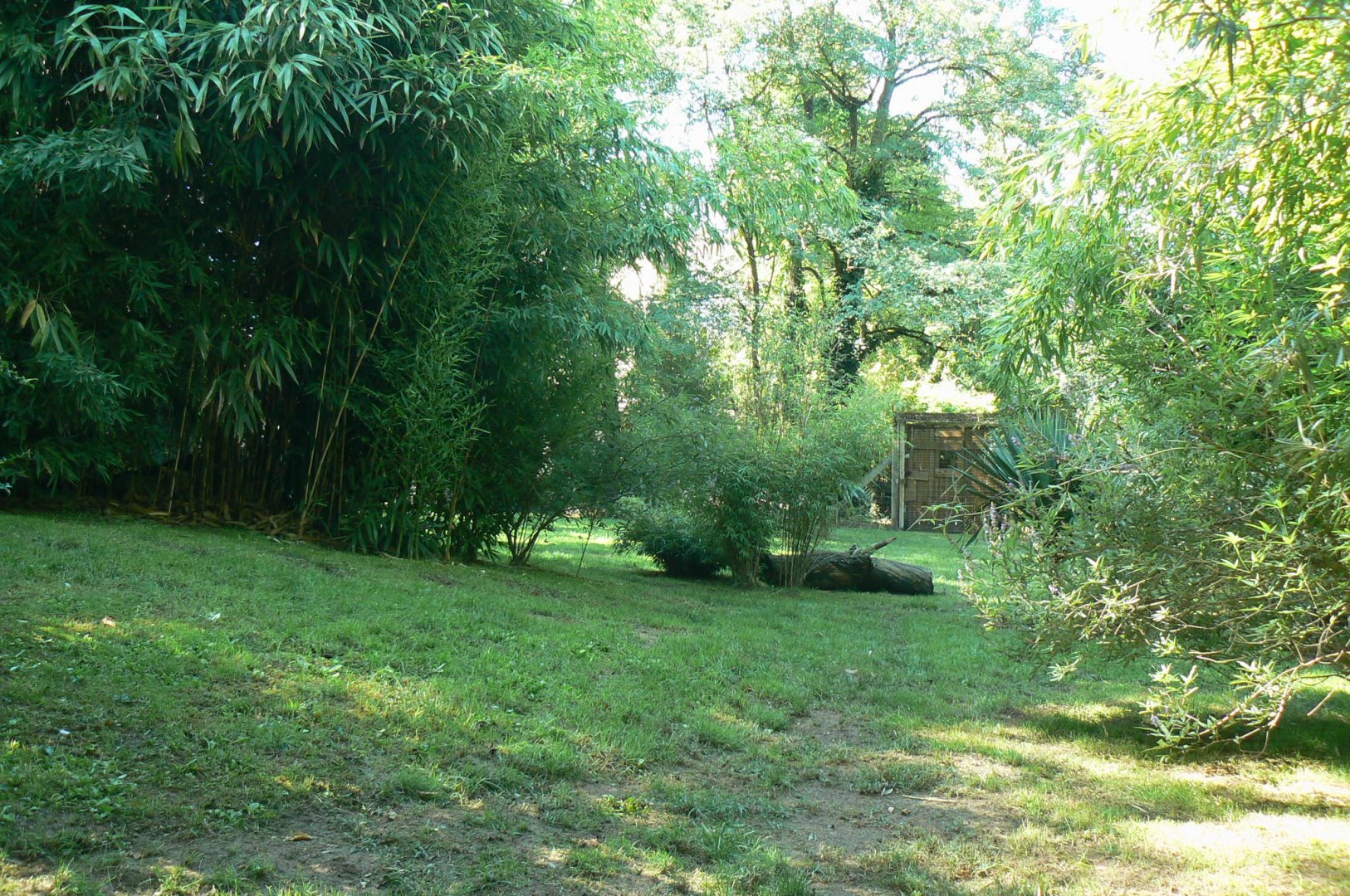 Zoo de la Flèche - Maned wolves exhibit